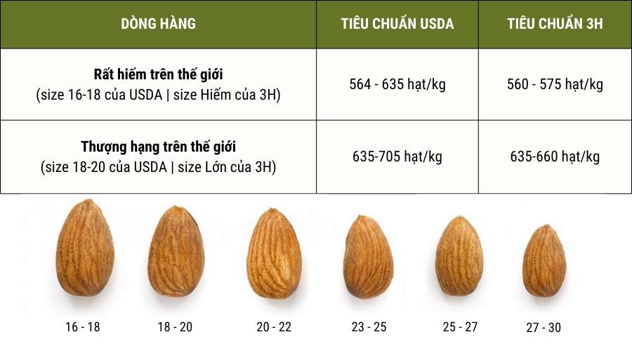 So sánh chất lượng Hạnh Nhân 3H với hàng thượng hạng thế giới