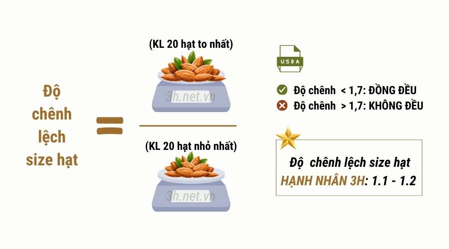 So sánh chất lượng Hạnh Nhân 3H với hàng thượng hạng thế giới